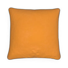 Load image into Gallery viewer, Cushions: #41