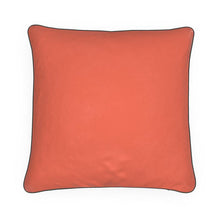 Load image into Gallery viewer, Cushions: #47